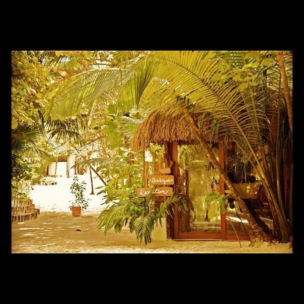 فندق Casa Violeta تولوم المظهر الخارجي الصورة