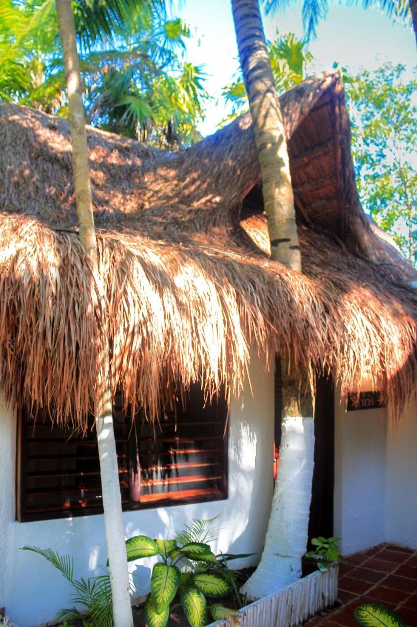 فندق Casa Violeta تولوم المظهر الخارجي الصورة